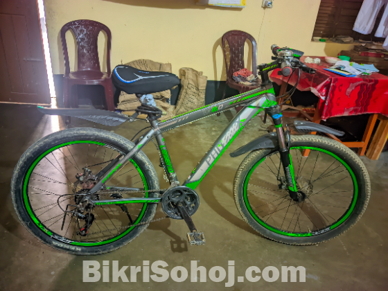 Phoenix gear bicycle